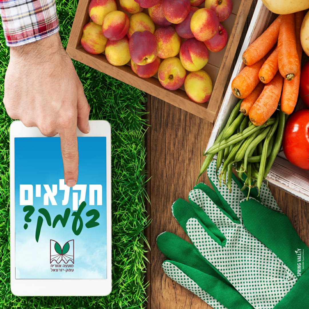 משלוחים מחקלאי עמק יזראל 