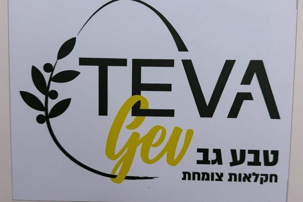 ביקור במשק אשוש במושב היוגב  - טבע גב חקלאות צומחת